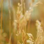 忙しすぎて成功する時間がない？！