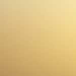 夏期休暇のお知らせ