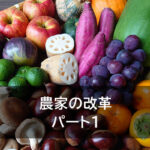 コンパクトリノベ　パート1